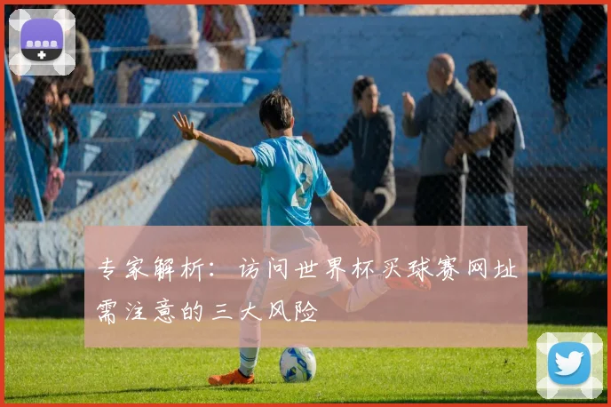 专家解析：访问世界杯买球赛网址需注意的三大风险