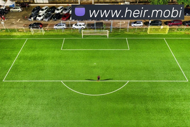 开云app登录app网站入口平台生态图