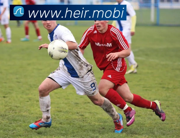 开云app登录app网站入口APP 封面图